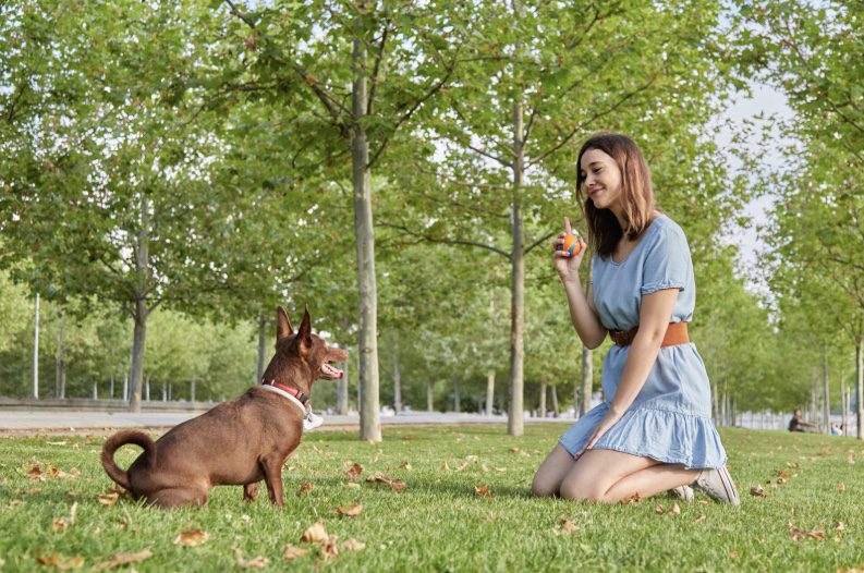 woman playing fetch with dog in long island